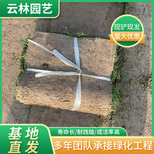 ���ع����ͺ�����é��ƺ�݉K �ļ����ƺ С�^�@�־G�����ò�ƺ