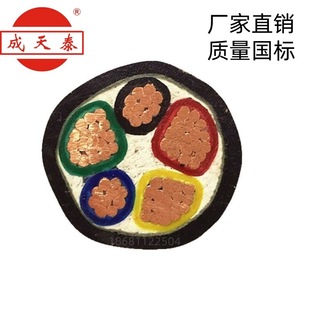 ̩늾|ZC-YJV22-3*95+2*50mm2zb|ȼ~о|