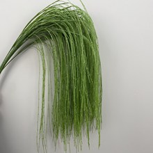 羳¿cGֲĵ픻Y廨ˇJݽG~l