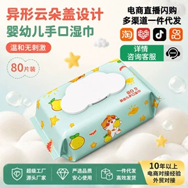 湿巾纸;厨房用纸;湿厕纸
