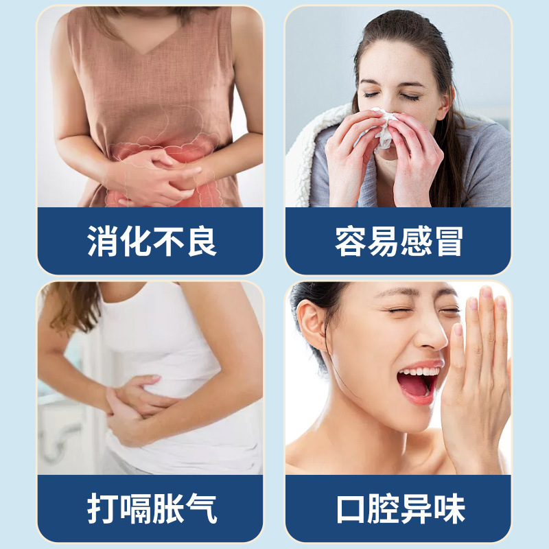 北京同仁堂固体飲料複合益生元益生菌インスタント食品活性腸管|undefined