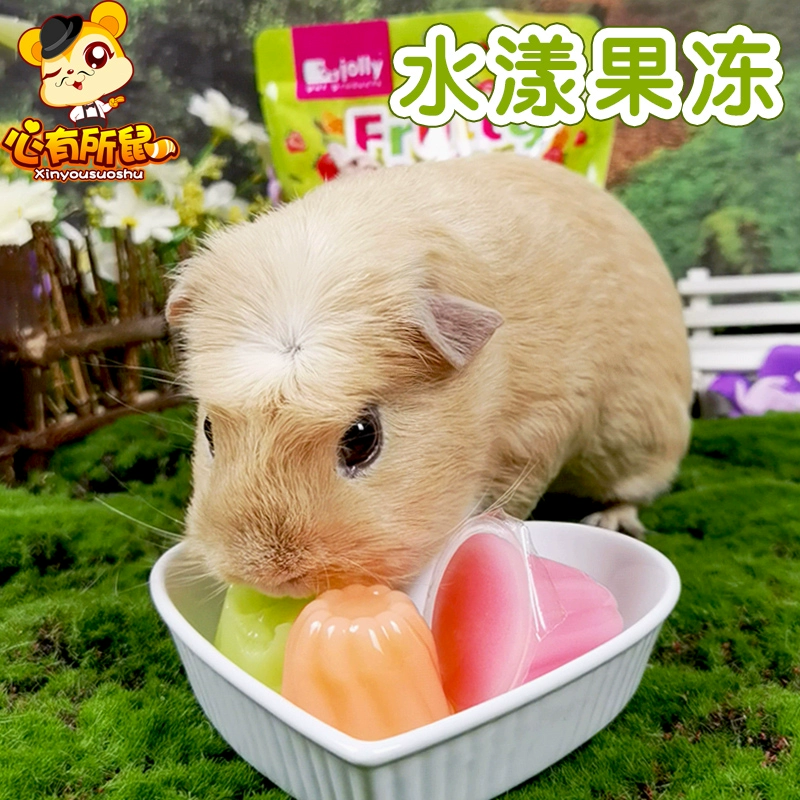 Jolly Water Jelly 9 хомяков Закуски кролик Тоторо Голландские свиньи корм для морских свинок