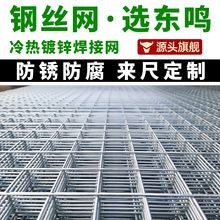 定制镀锌铁丝网围栏防护网养殖隔离网热镀锌钢丝网加粗焊接网格片