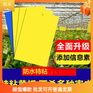 Double-Sided Sticky Insect Trap Board Yellow for Catching Small Flying Insects, Fruit Flies, Wasps, Blue Board for Thrips, Fly Paper