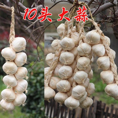 ③ⓠ❀➤✘ㄌ゠大蒜10头一串◄