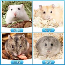 ���B��z�܌���С�}������Ѵ��^����������֜�혶�ë�Lë�ܻ��w