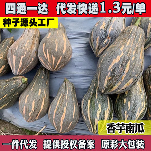 �V�|�����ϹϷN�����Ŵ�ϹϷN�ݝ�����ζ�ϹϷN�����߲˷N��