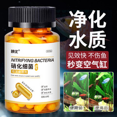 カプセル硝化細菌水槽水質浄化水族観賞魚消化細菌粉袋詰め水族用品卸売り