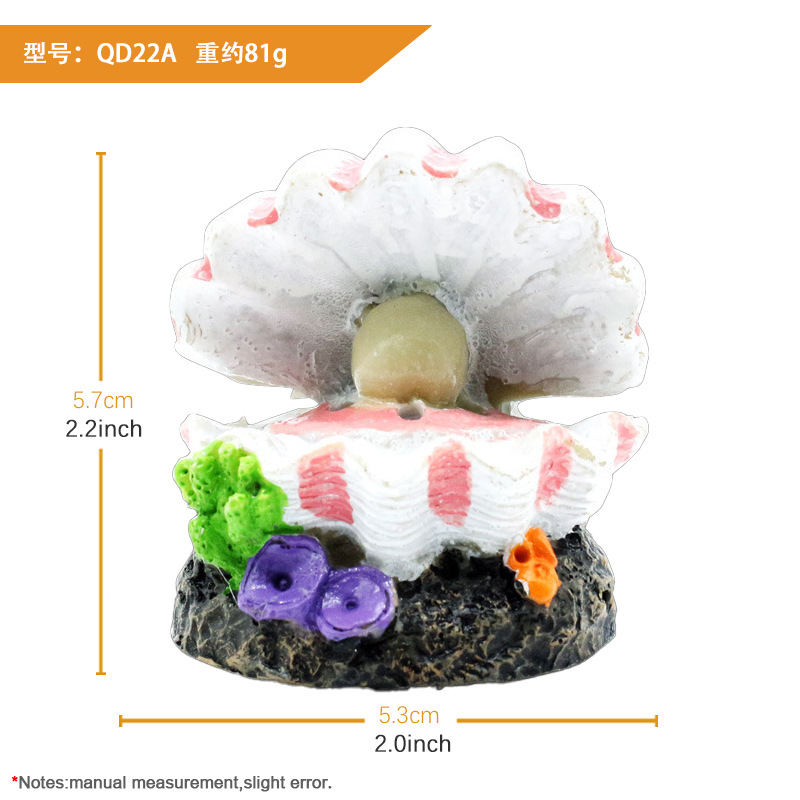 Concha de cabeza de arena