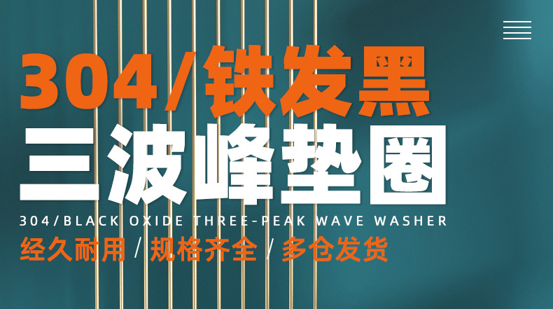 三波峰垫圈_01_01.jpg
