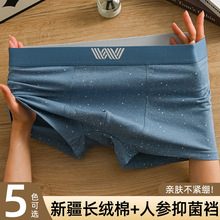 ��ʿ�ڿ�2025�¿��½���������ƽ���ڿ����ĽǴ��޷����ҳ�ʪ�̿�