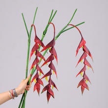 ���滨С��ȸ��ܛ�z �Q���m���B���B���ȸϐβ�mз�Q�ٻ��b�