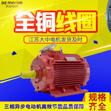 江苏大中电机YE2G耐高温高效率三相异步电动机0.55kw0.75kw1.1kw