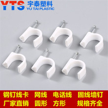 �ᔾ���늾��̶����۠�ᔾ�ᔿ���߾�����100ֻÿ��