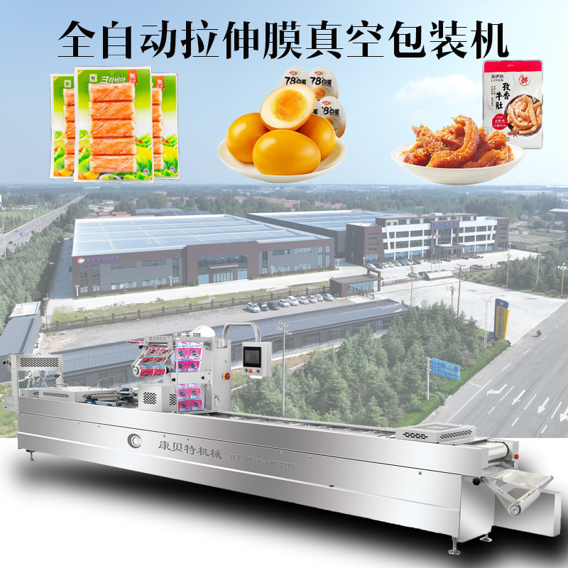 可定制粽子蛋肉真空包装机 520型高速拉伸膜真空包装机5-8次/分钟
