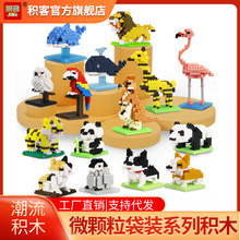 �e�ͷeľ���bϵ�Є���{���ϻ����Z��؈΢�w����ͯ�������N���