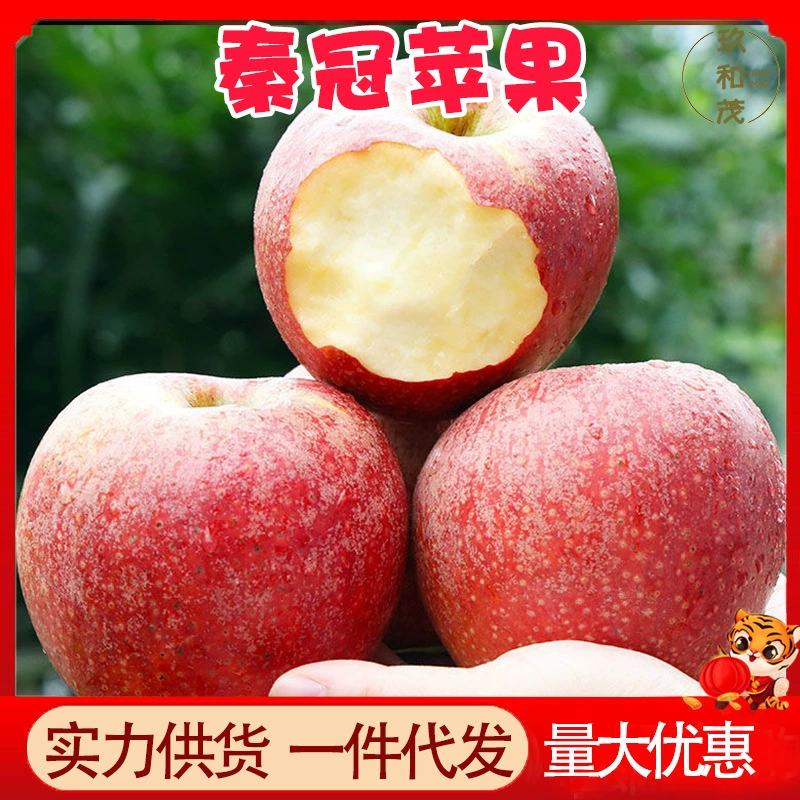 Authentic Shaanxi Qin Guan Apples 4.5kg Whole Box Seasonal Fresh Fruit Wholesale Free Shipping 2.5kg Pink-Faced High Mountain Apples