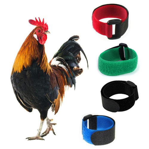 Cross-border new pet chicken collar 2-pack anti-rooster crowing no hook neck strap Christmas collar accessory