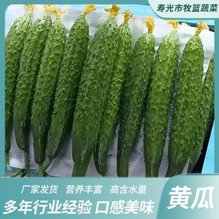 �S�����r��ζ�������ˬ����ϏS�����l�F؛�GɫʳƷֱ��