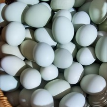 50枚 散养绿壳乌鸡蛋新鲜老家蛋正宗土鸡蛋农村自养笨鸡蛋柴鸡蛋