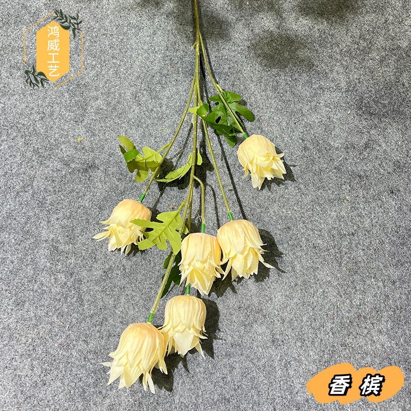 샴페인