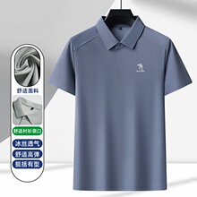 ��ľ�B���z����t����ʿ2026�ļ��¿�����e�o����C����POLO��