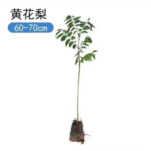 Fںϳzľ纣S̨С~̴șİ]