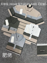 2025新款夏季加大男士短袖t恤中年条纹棉翻领上衣肥佬爸爸装polo