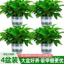 ~G}҃ȿ͏dȩ՚ֲGֲkҾGjl