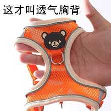 ����͸�⹷�������K����ʽ��ȮС��Ȯ�����ر��������