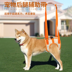 アマゾンの新商品の後足補助は高齢高齢犬の障害犬を連れてリハビリします。