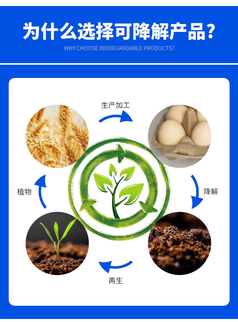 套版---鸡蛋托_04.jpg