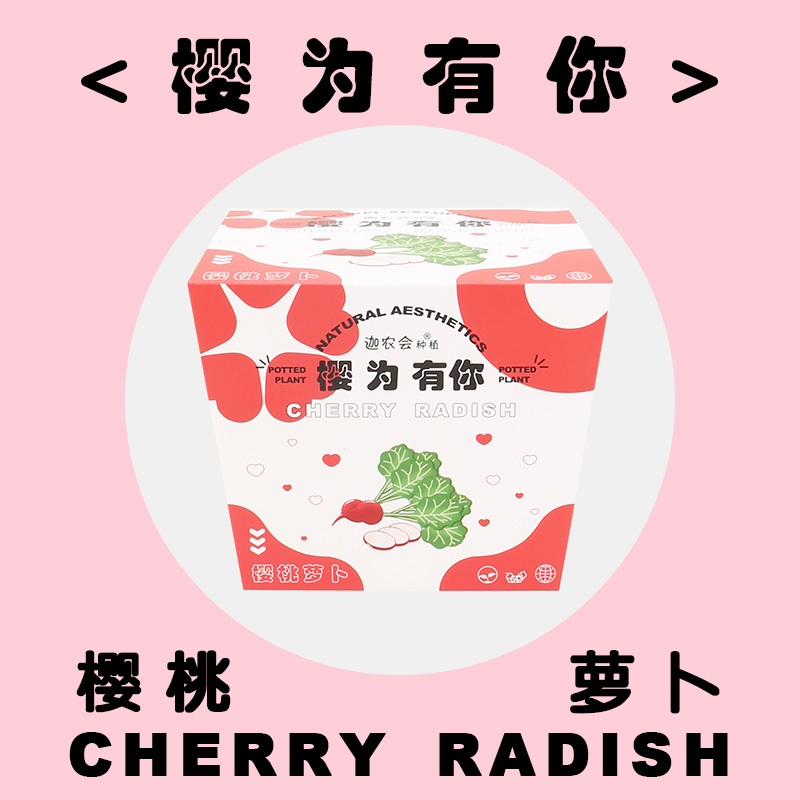 당신을 위해 사쿠라 (체리 무)