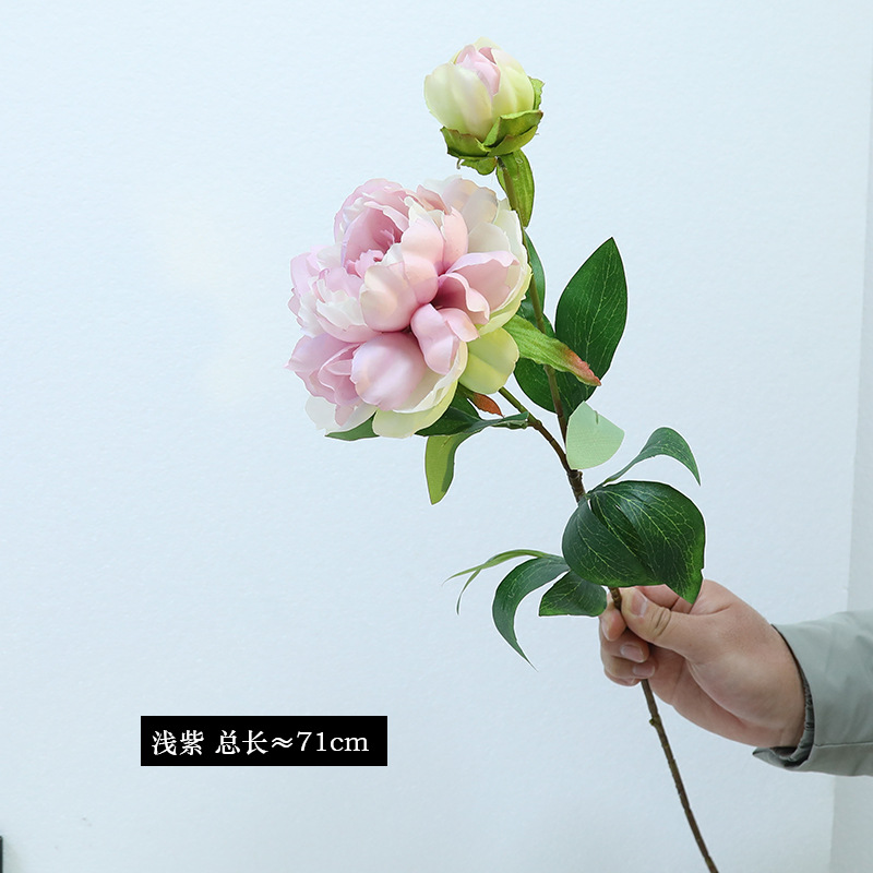 5 # 밝은 보라색