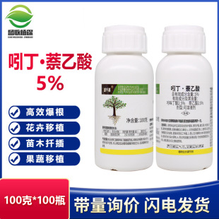 ɽ�|�|��ʢ��ǧ������5%���ᶡ��������ľ��������Ǥ���������