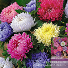 ļNֲUɫذջN̨ͥԺ׻ݻܷN