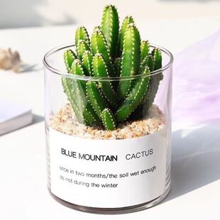 ���������Զ���ֲ��������С�҃��_�����B�Gֲ������X��¶