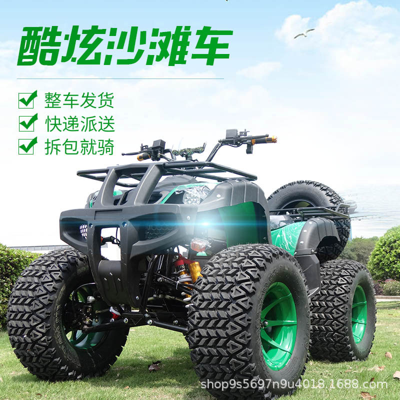 Electric beach off-road racing car