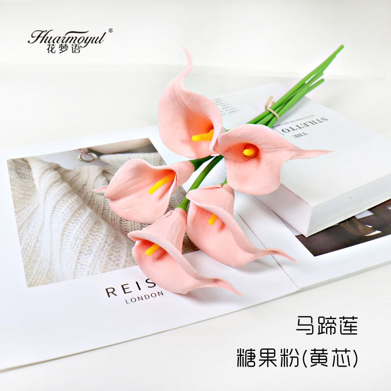 칼라 릴리-캔디 파우더(노란색 코어)