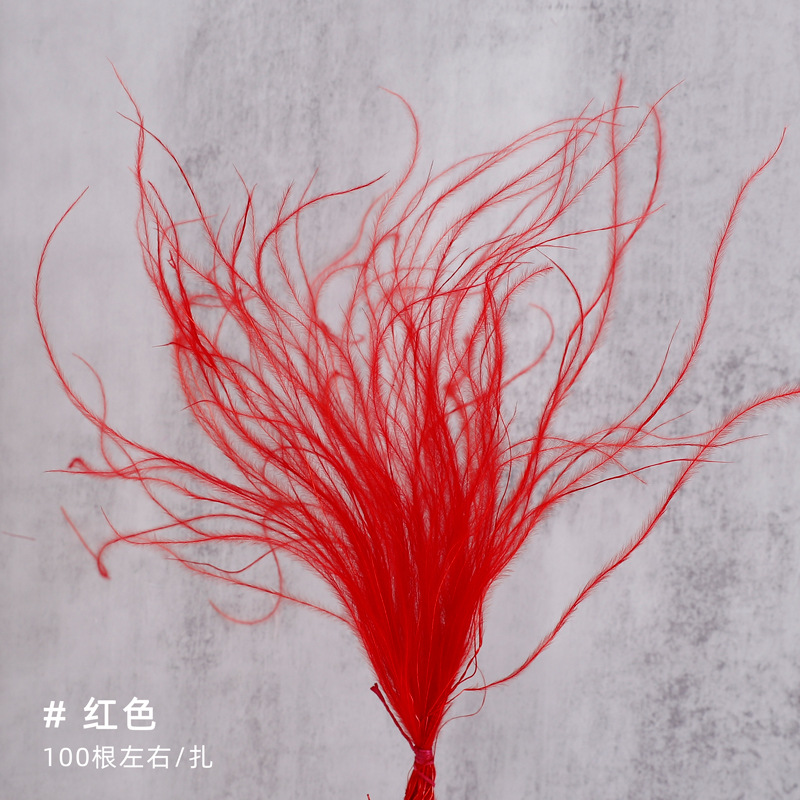 Red red inmortalidad flores materiales de fuegos artificiales flores secas flores flores de lanterna flor plumage ramo de decoración hecha a mano DIY lote de materiales