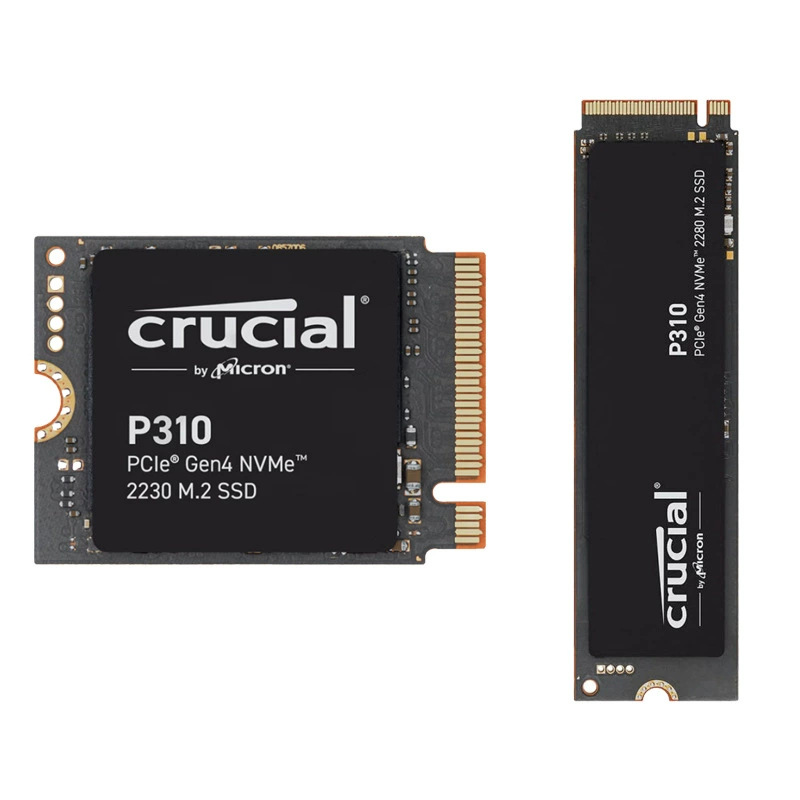 /P310 500Г 1Т 2Т M.2 NVMe 2230 2280 твердотельный диск SSD