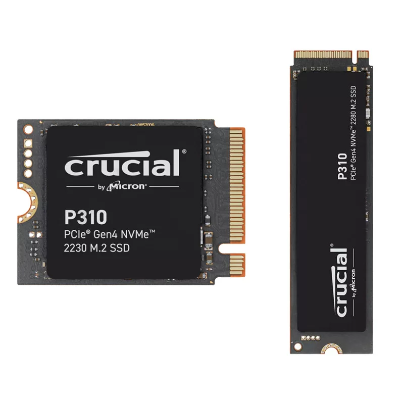 /P310 500Г 1Т 2Т M.2 NVMe 2230 2280 твердотельный диск SSD