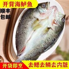 �o�������r�_�����|���~�ك����Ǻ��|�~�r���ك����r���|�~�����b