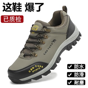 ���＾���_ ����Ь�����ɽЬ͸��ڱ����eЬ��ˮ������}չ�Y