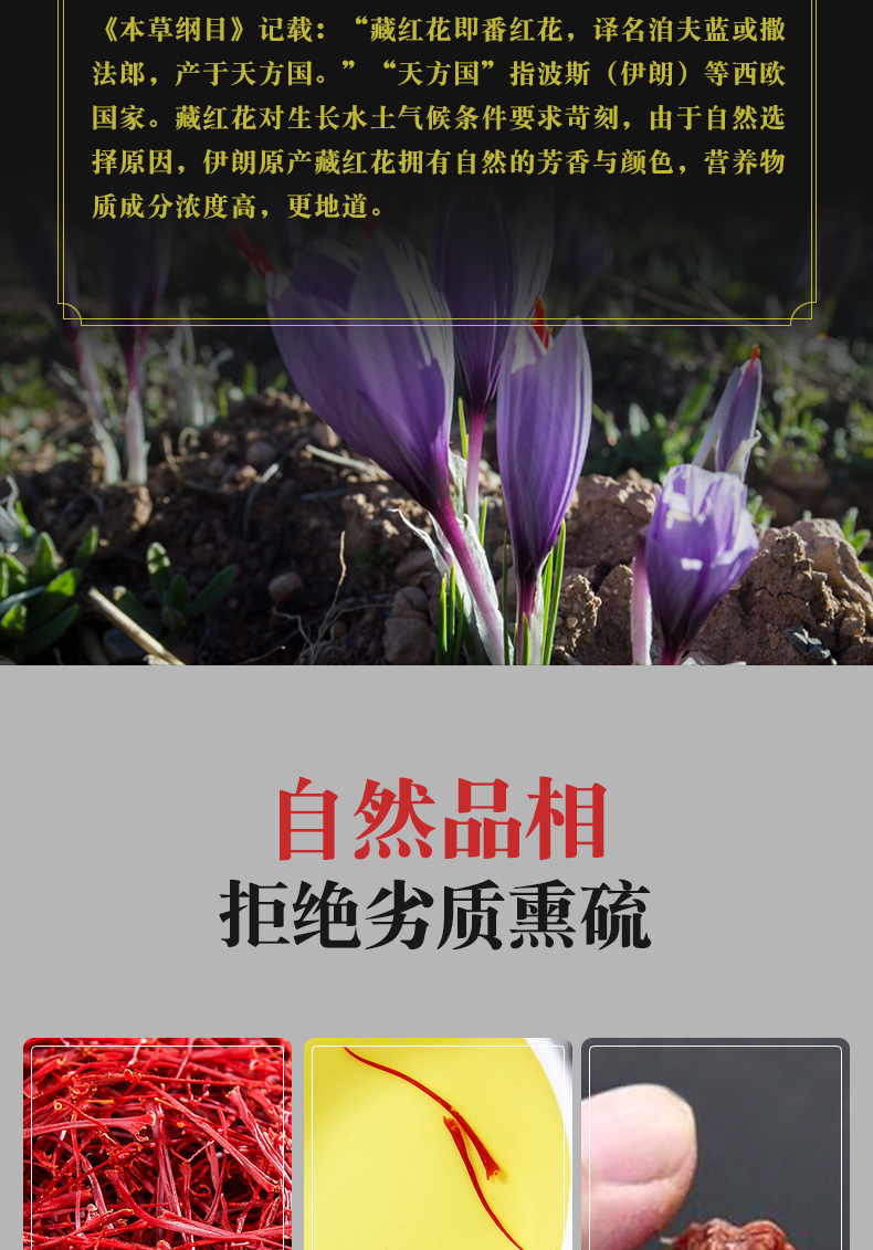 Iranian Saffron Threads Zang Hong Hua Premium Long Filaments 1g Bottle for Tea and Culinary Use in use