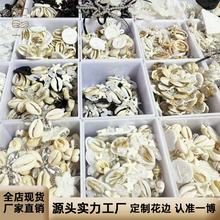 �n�����Ь�߼��з��b�b���������YЬ������y�Ҵ���Ь��Ь����