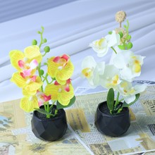 ���滨��Ʒ�������Y�bٻ��Ҿ��b����ϻ���������m���Ԕ[��