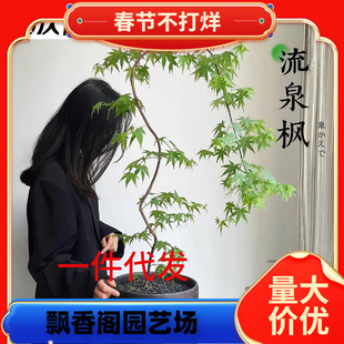 һ�����l��Ȫ�����ԾGֲ�����͏d�҃�ֲ���߱�����W�t��ϵ�U���k