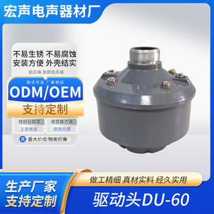 Manufacturer Supplies High-Power Audio Tweeter Strong Magnetic Driver Head Du-60 Resonance Horn Vibration Resonator