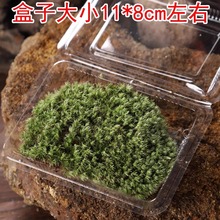 ̦�\�װl�\���b΢���^ˮꑸ��쾰ꎸɰװl�\�r��̦�\���l